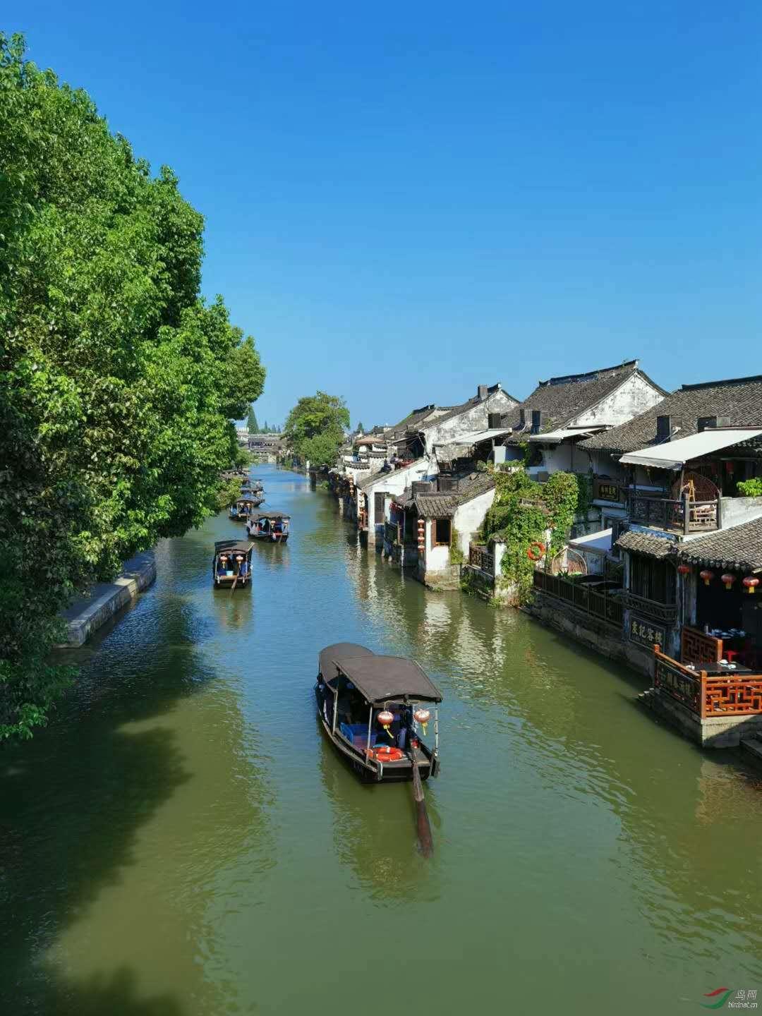 召唤神龙万宁版祖龙